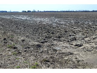 Property photo 42 - LAND AUCTION - 215+/- ACRES OFFERED IN 6 TRACTS IN VAN WERT COUNTY, OHIO